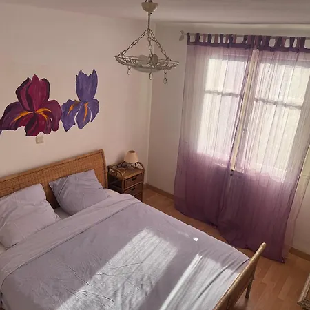 Lavish In With Private Swimming Pool Carpentras